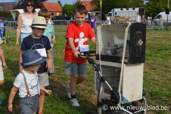 Honden, paarden en eenden stelen de show op veeprijskamp zonder vee, schepencollege verliest kansloos touwtrekken van trekpaard