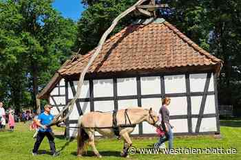 Rahden lockt am Kreismühlentag mit Attraktionen
