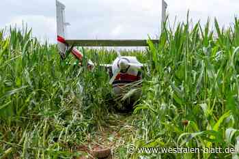 Porta: Flugzeug landet nach Start im Maisfeld