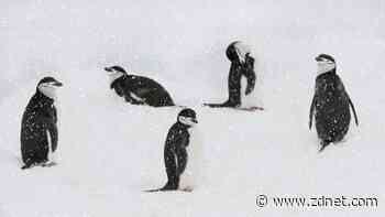 5 essential Linux terms every new user needs to know