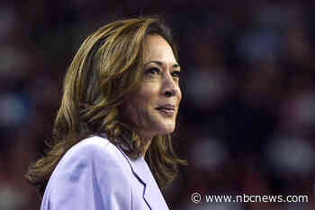 Harris campaign launches WhatsApp channel aimed at bilingual Latino voters