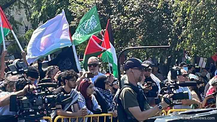 Hamas flag spotted at anti-Israel rally near DNC as Chicago braces for possible unrest