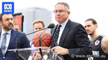 'I acknowledge the seriousness of my actions': Photo emerges of Foxtel CEO performing Nazi salute