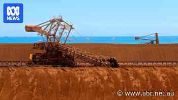 As the plummeting iron ore price hits hard, there are fears about the 'huge risk' facing Western Australia