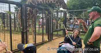 Terminally ill mum fulfils final wish on zoo trip with son