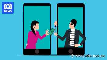 New report finds bank scam victims bear the burden 96 per cent of the time