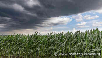 Opleving op granenmarkt van korte duur