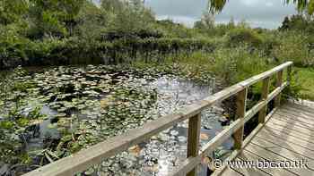 Rediscovering the Lost Lakes of Lanjeth