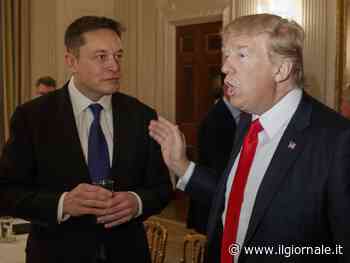 Decolla l'alleanza Trump-Musk: "Per lui ruolo di governo". "Sono pronto"