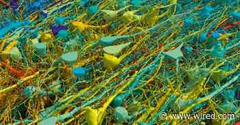 The Most Intricate Map Of A Human Brain Ever Made