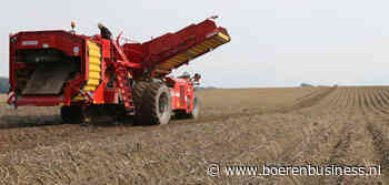 Groter Pools areaal levert nog geen topoogst