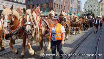 Demo geplant: Aktivisten fordern Plärrerumzug ohne Pferde