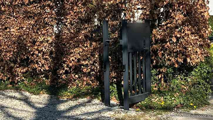 Dollemansrit eindigde tegen hek van burgemeester: man zat in psychose