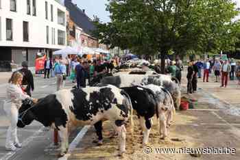Jaarmarkt in centrum lokt opnieuw veel volk naar centrum
