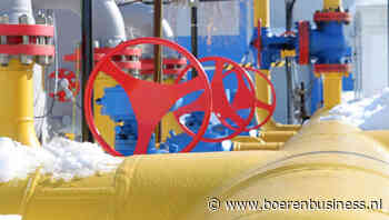 Gasmarkt stabiliseert op hoogste niveau van 2024