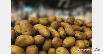 Kenia start initiatief om aardappelproductiviteit te verhogen