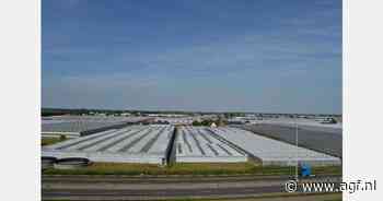 Harde eisen aan Westlandse ondernemer over huisvesting 'ongewenst'