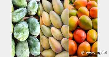 "Er is vraag naar goedgeprijsde Egyptische mango's"