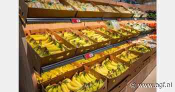 Lidl dicht loonkloof in bananensector