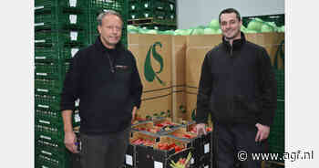 "Goede vraag en behoorlijke prijzen voor rode en witte kool"