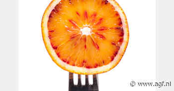 Zuid-Afrika begint WTO-geschil over beperkingen citrusexport naar EU