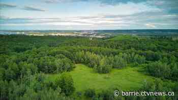 Another disc golf course in Barrie is up for grabs