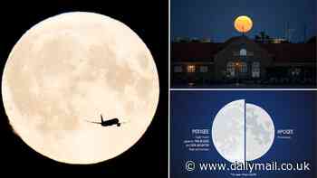 Did you miss the supermoon? Don't panic! Last night's display was the first of FOUR lunar spectacles - here are the other dates to add to your calendar