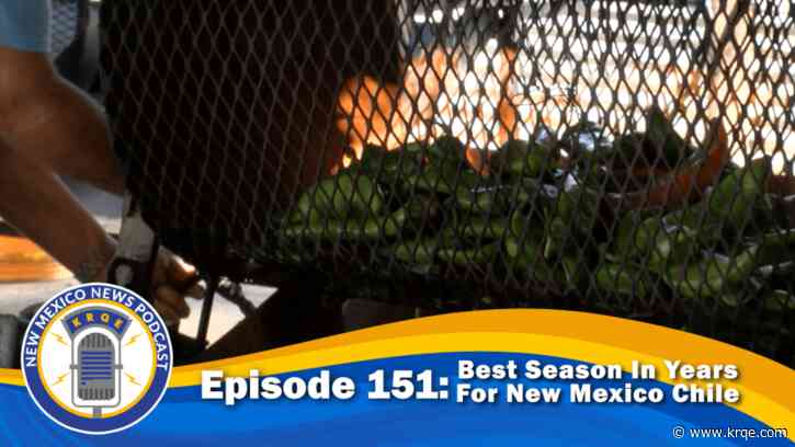 Why 2024 Is A ‘Bumper Crop’ Year For New Mexico Chile
