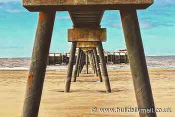 Four of the best walks around East Yorkshire for this Bank Holiday