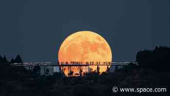 Supermoon Blue Moon 2024: Top photos from around the world