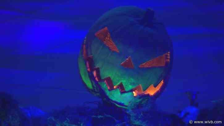 Frightworld hosting open auditions for its 'scream team'