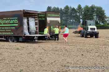 Tuincenter verbrandt lading planten uit Italië na vaststelling van zuiderse cicaden