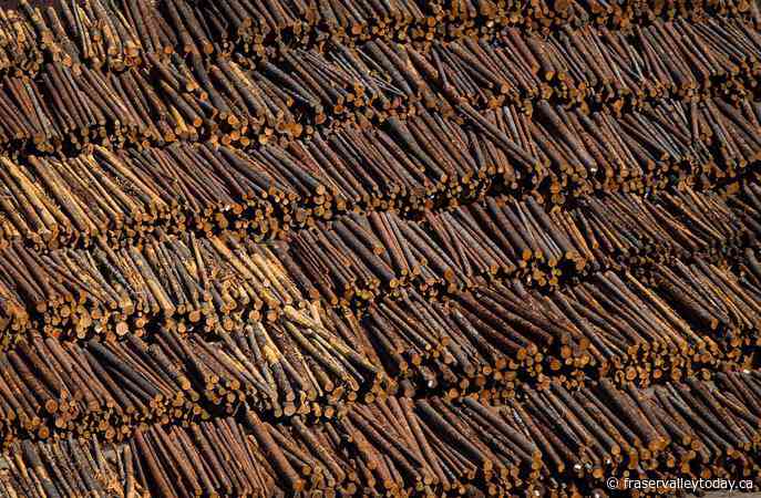 Interfor curtails production indefinitely at two U.S. sawmills due to weak market