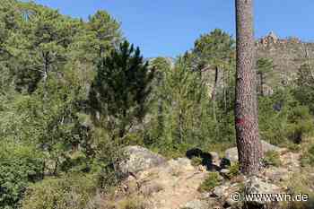 Private Suche nach vermisstem Münsteraner startet