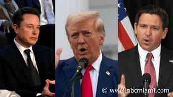 Strategist who ran DeSantis' ill-fated bid is working with Musk to help organize voters for Trump