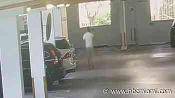 Wanted felon who held Miami Beach commissioner at gunpoint arrested again after Walgreens theft