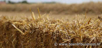 Spanning op de stromarkt loopt op