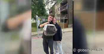 Cat back with owner after being trapped inside Edmonton apartment building damaged by fire