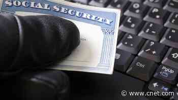 Check if Your Social Security Number Is in the National Public Data Breach