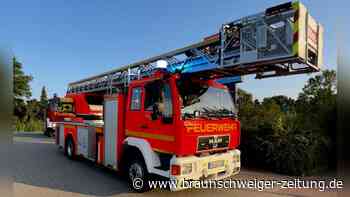 Feuerwehreinsatz bei Discounter in Lehre: Das ist passiert