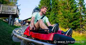 Teambuilding: Zebras des THW Kiel avancieren auf dem Schöckl zu Gipfelstürmern