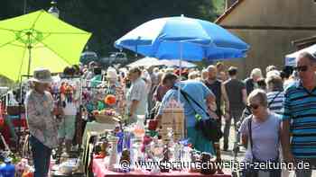 Einzigartig im Harz: Dieses Straßenfest zieht Tausende Besucher an