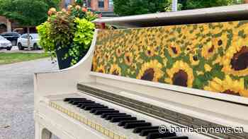 Pianos take centre stage in Collingwood's downtown