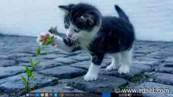 This lightweight Linux distro is the best way to revive your old computer. Here's how