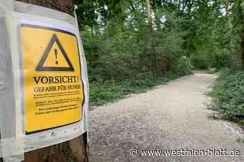 Zwei Hunde fressen Giftköder und sterben