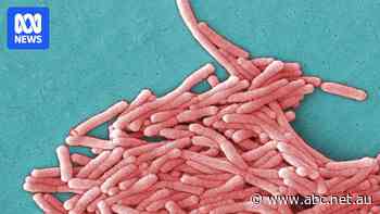 Why are cases of legionnaires' disease growing in Australia?