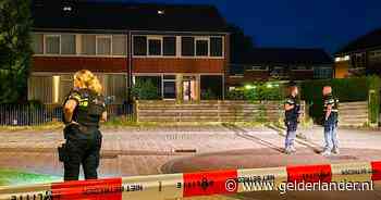 Melding van schietincident in Didam, politie met kogelwerende vesten in woonwijk