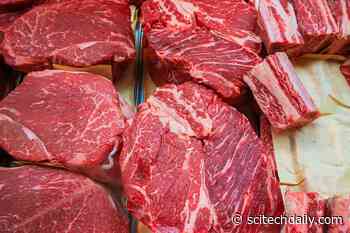 Surprising Study: Iron in the Meat You Eat Could Lead to Diabetes