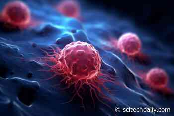 Unique Plant Species Provide Surprising New Insights Into Cancer