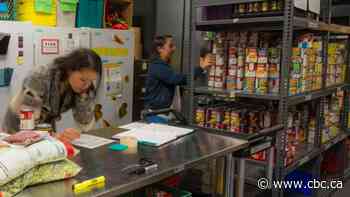 Calgary universities seeing increased demand for food banks